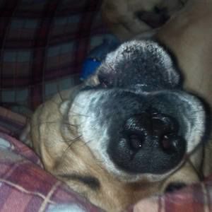 Meet your Posher, Kris